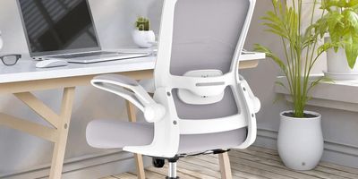 lumbar support