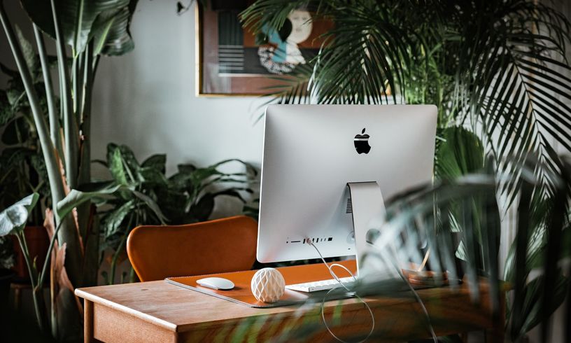 Professional mac workstation desk setup surrounded by tropical plants